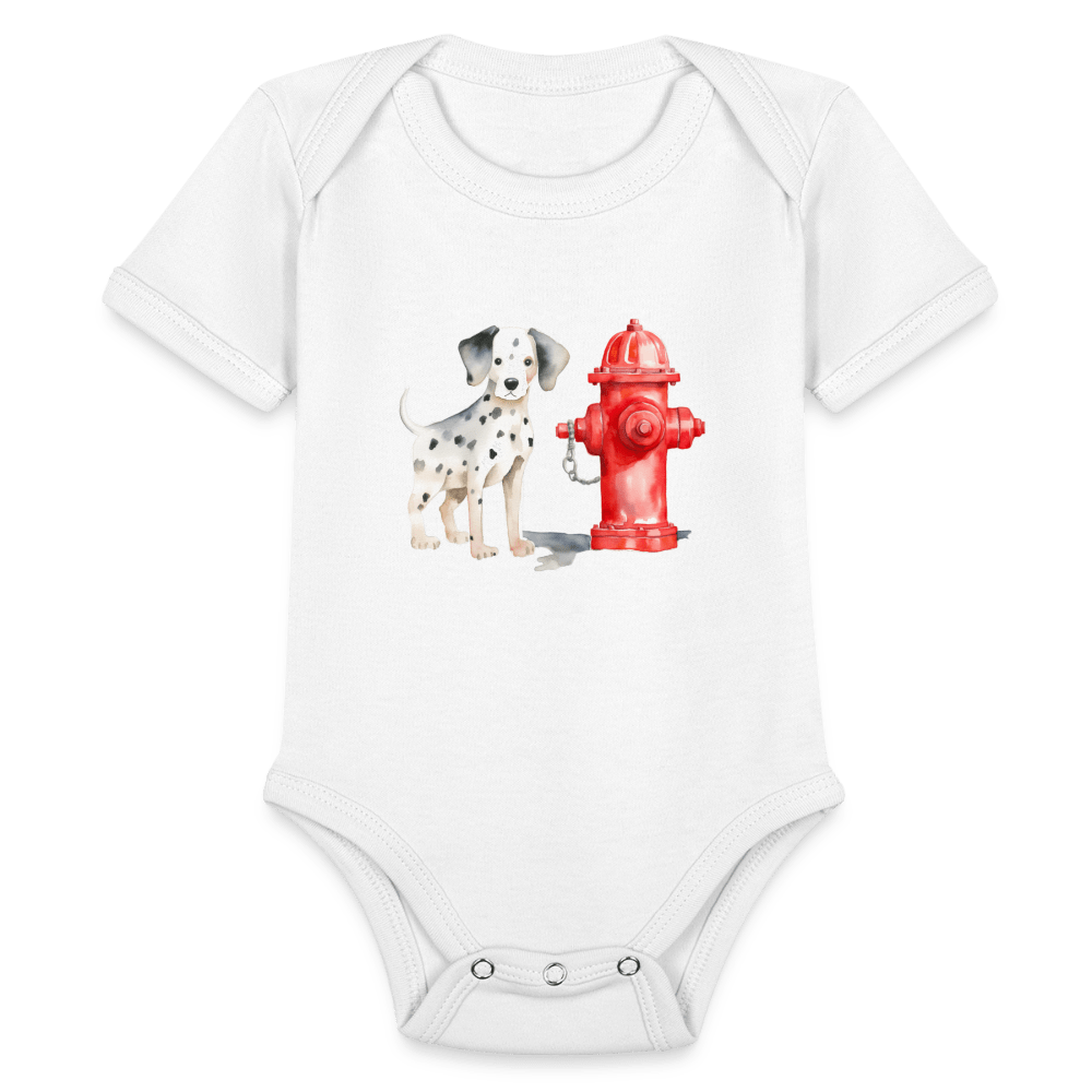 Dalmatian - white