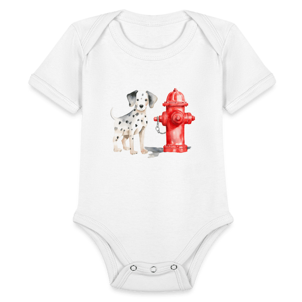 Dalmatian - white