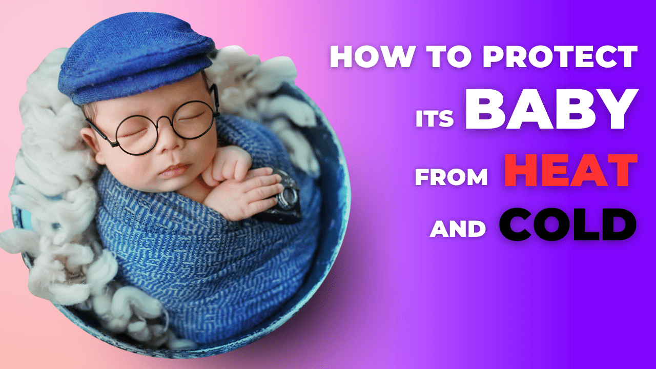 protect its baby from heatand cold