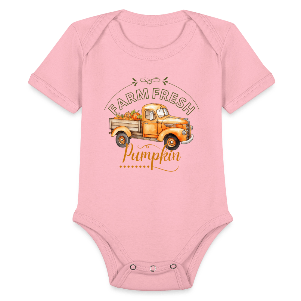 Little Pumkin  ModeMate US