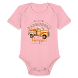 Little Pumkin  ModeMate US