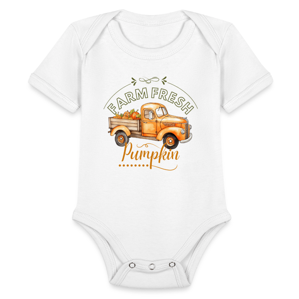 Little Pumkin  ModeMate US