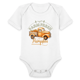 Little Pumkin  ModeMate US