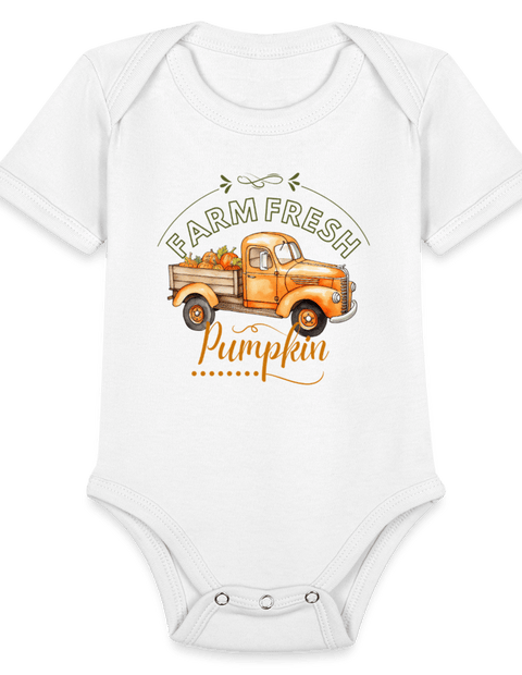 Little Pumkin  ModeMate US