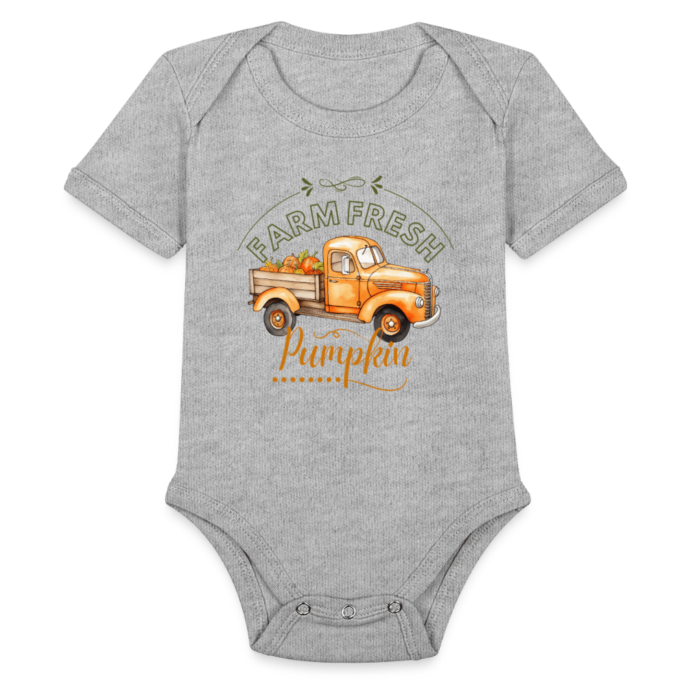 Little Pumkin  ModeMate US