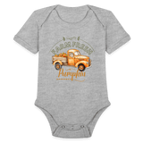 Little Pumkin  ModeMate US