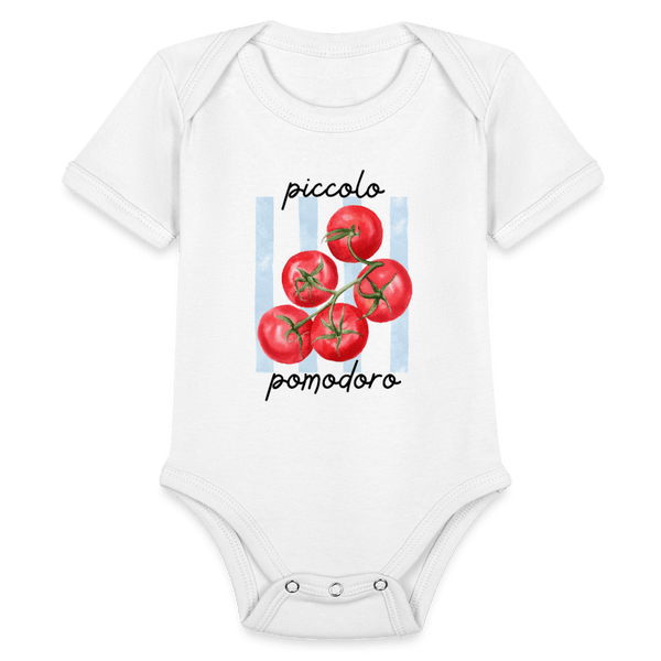 picollo  ModeMate Europe