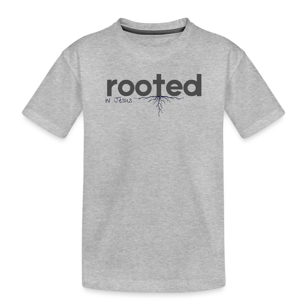 Toddler Premium Organic T-Shirt - heather gray