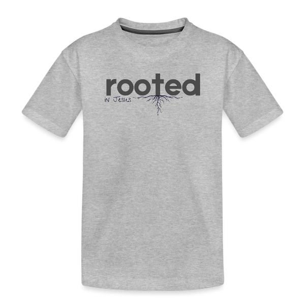 Toddler Premium Organic T-Shirt - heather gray