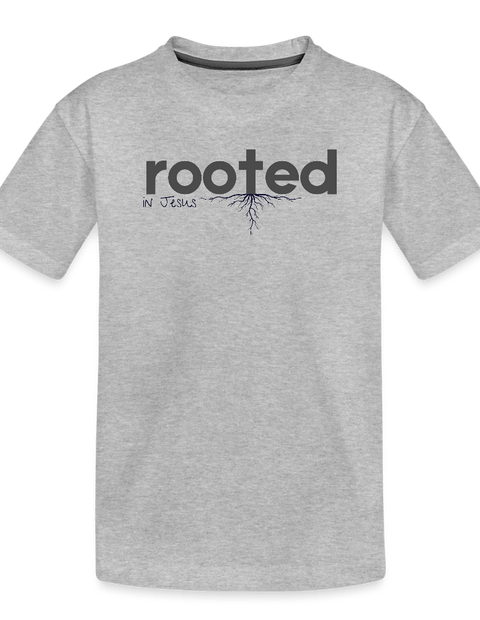 Toddler Premium Organic T-Shirt - heather gray