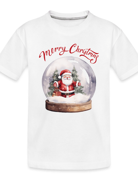 Snow Globe  ModeMate US