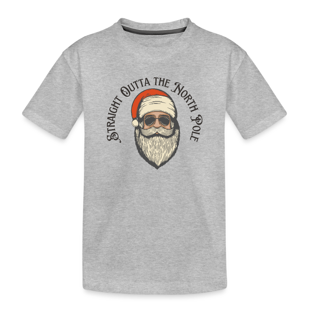 Toddler Premium Organic T-Shirt - heather gray