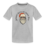 Toddler Premium Organic T-Shirt - heather gray