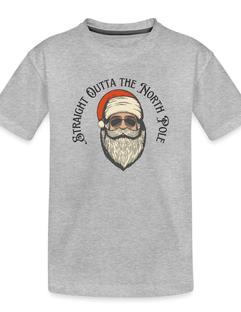 Toddler Premium Organic T-Shirt - heather gray