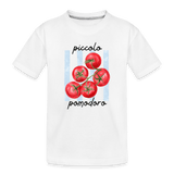 picallo  ModeMate Europe