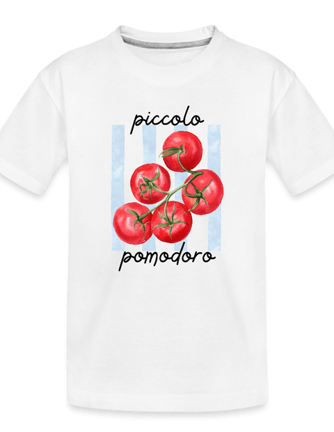 picallo  ModeMate Europe