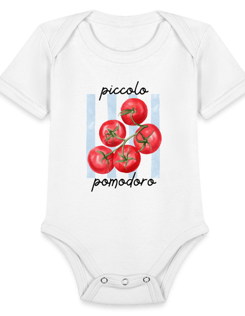 picollo  ModeMate Europe